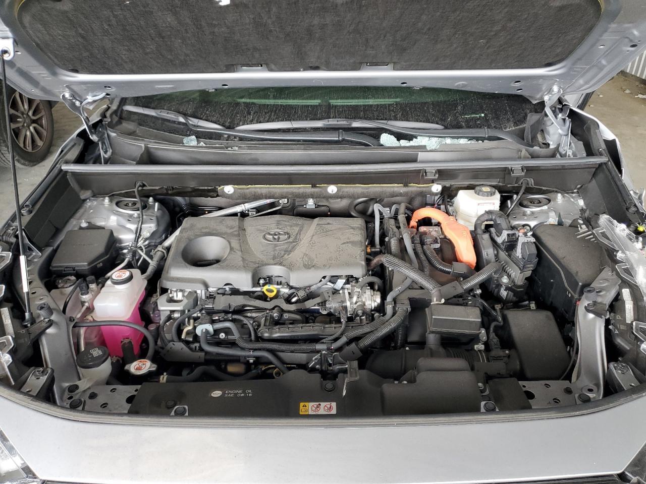 2024 TOYOTA RAV4