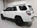 2024 TOYOTA 4Runner