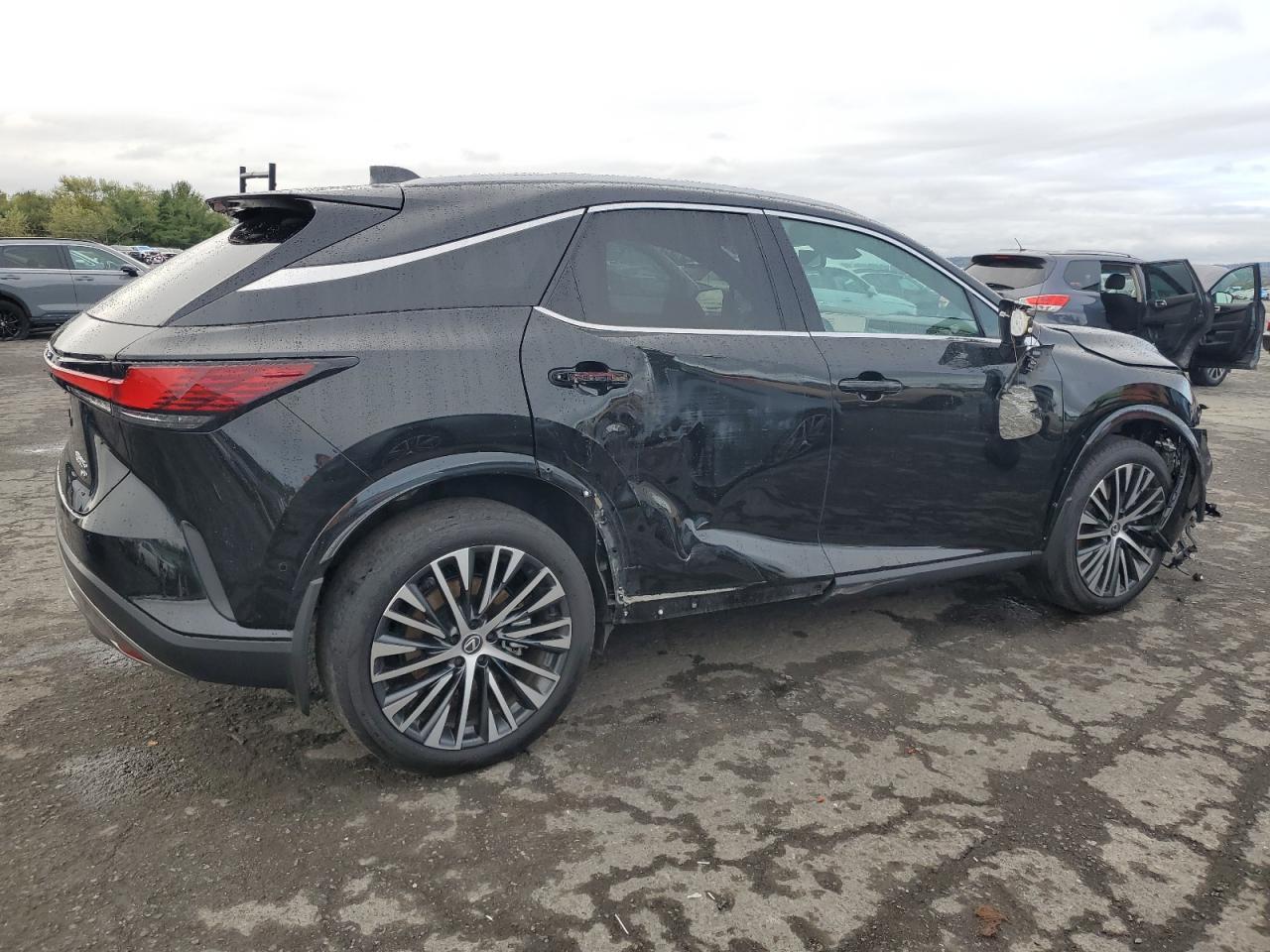 2025 LEXUS Rx