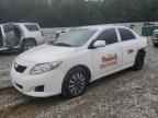 2009 TOYOTA COROLLA