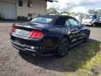 2023 FORD MUSTANG