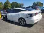 2020 NISSAN Maxima