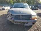 2002 DODGE Dakota