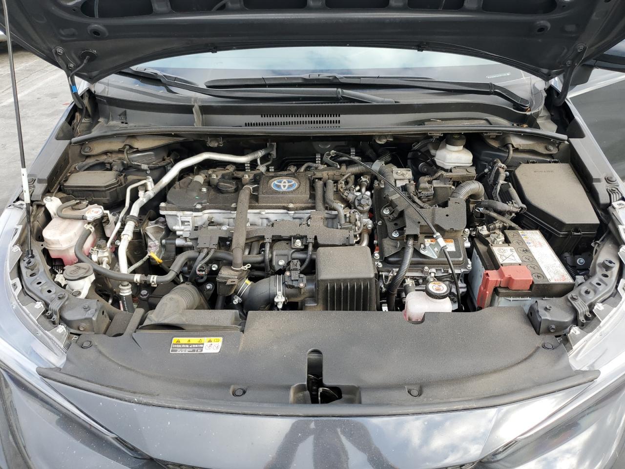 2023 TOYOTA COROLLA