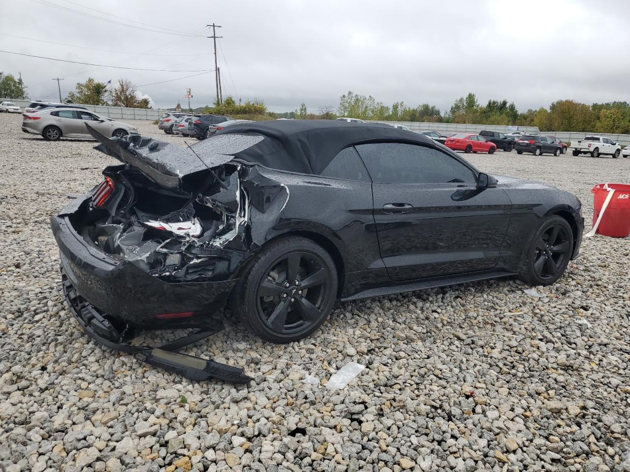 2019 FORD MUSTANG