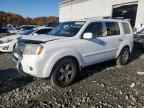 2009 HONDA PILOT