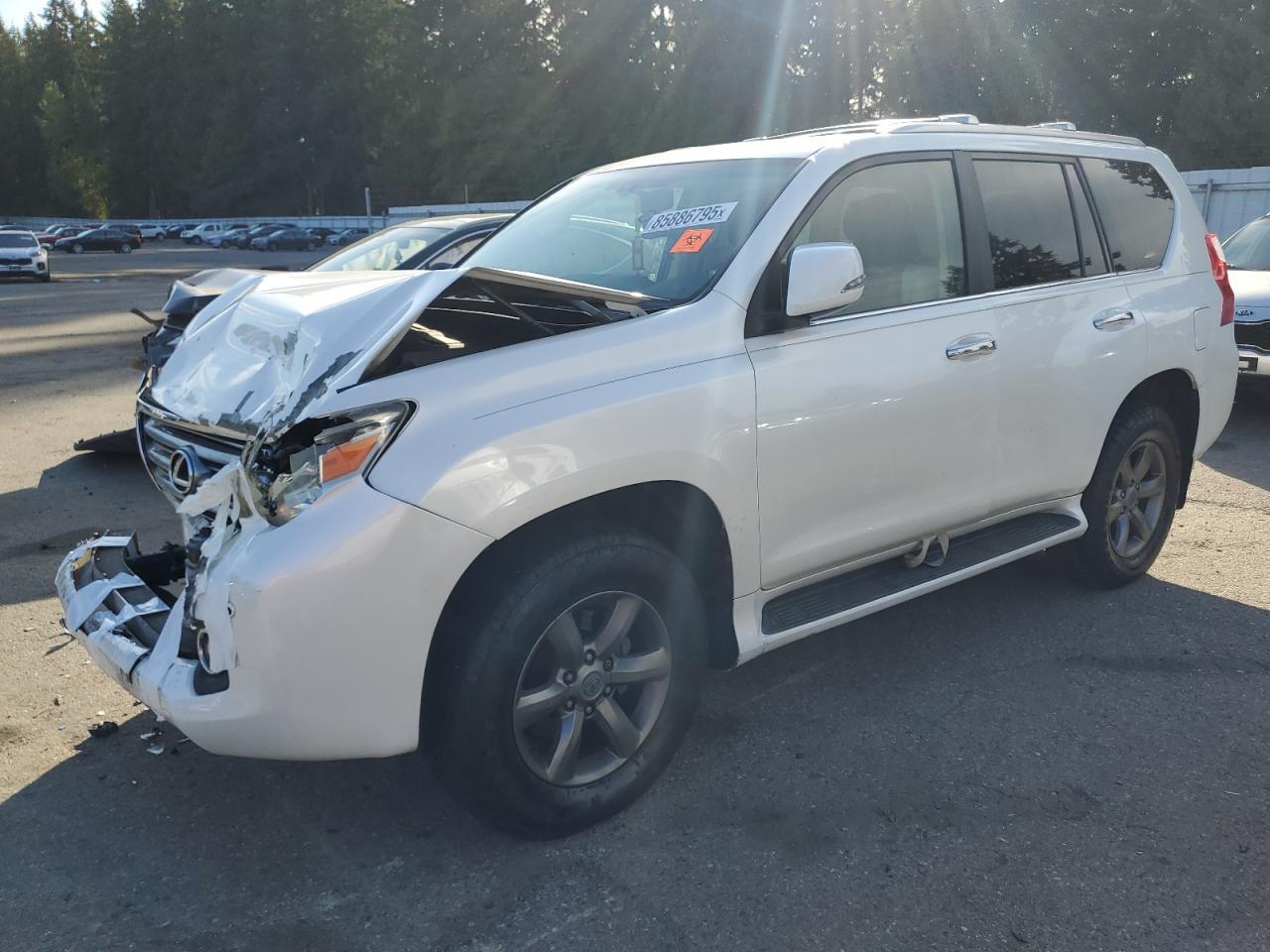 2010 LEXUS Gx