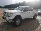 2010 FORD F-150