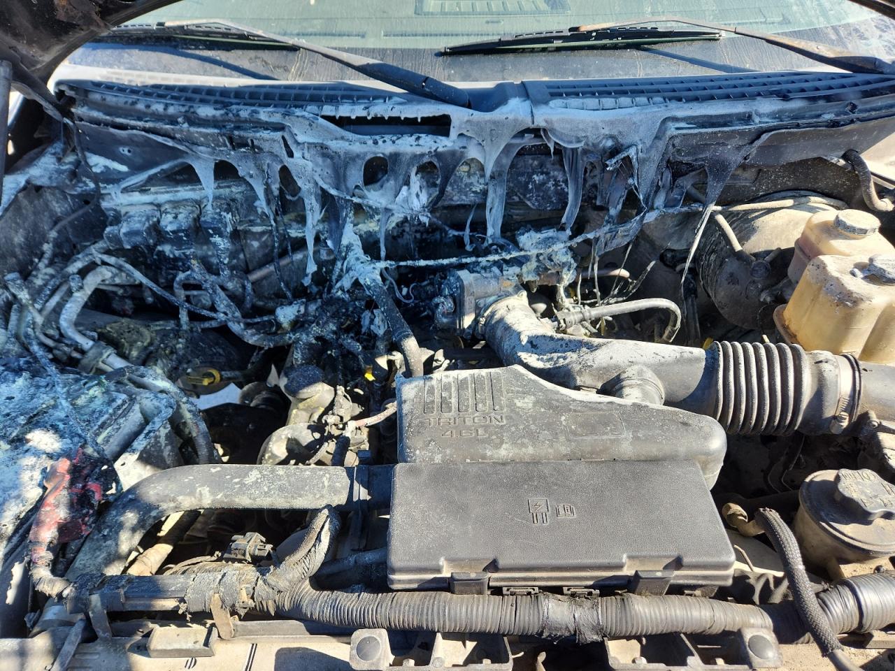 2009 FORD F-150