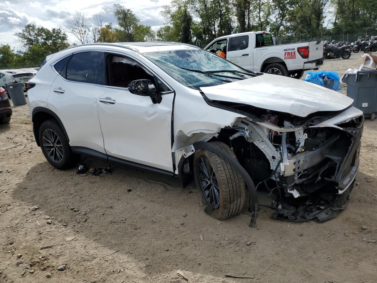 2024 LEXUS Nx