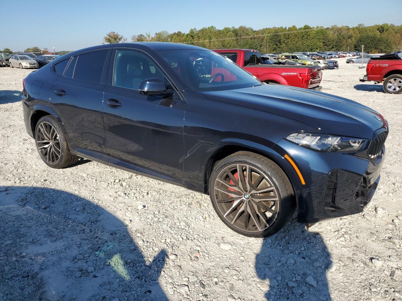 2026 BMW X6