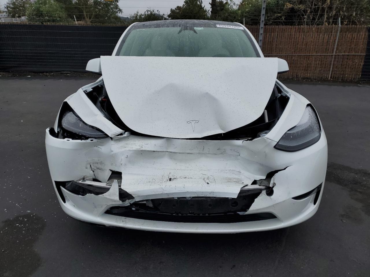 2025 TESLA MODEL Y