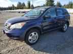 2010 HONDA CR-V