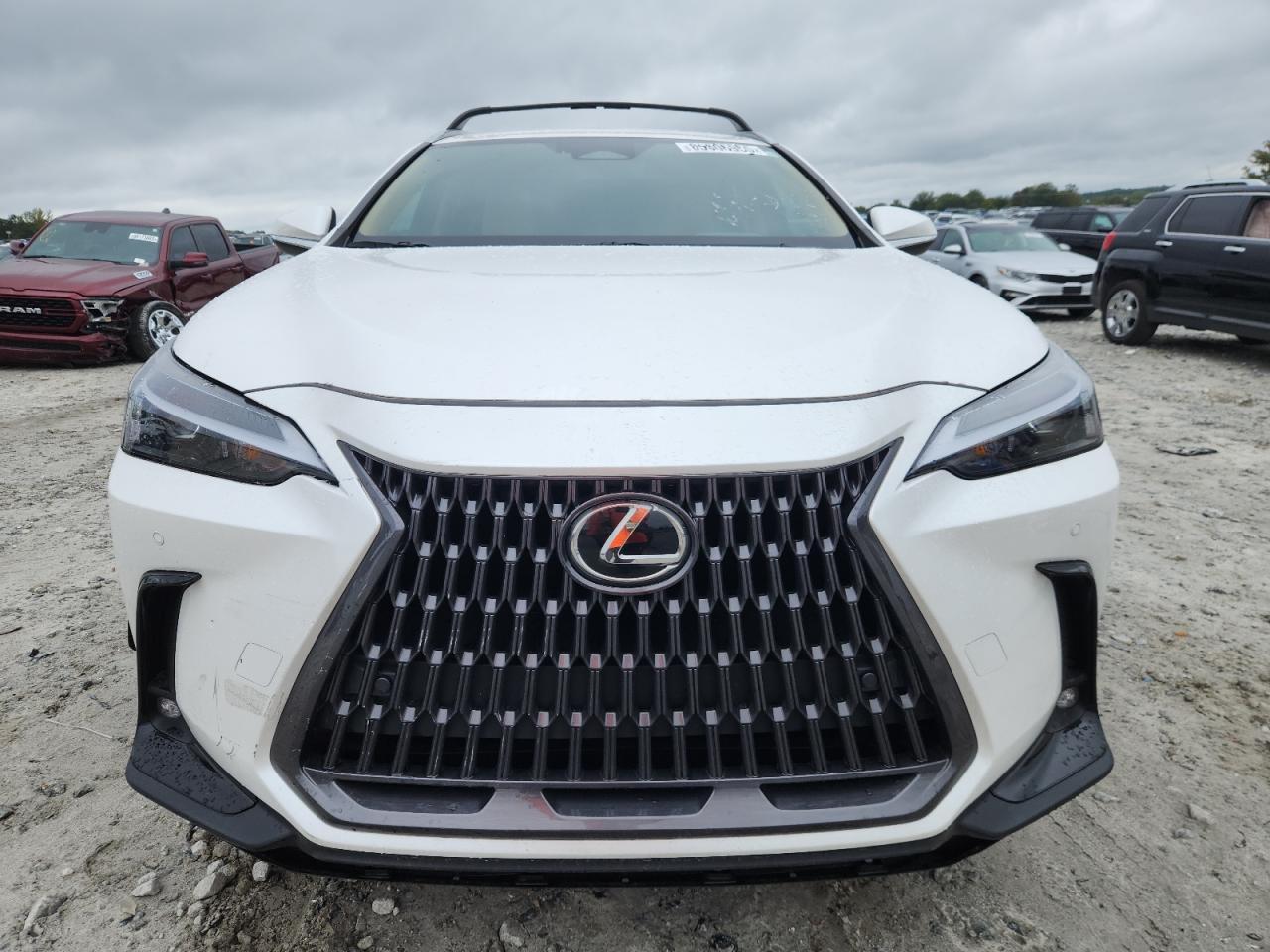 2025 LEXUS Nx