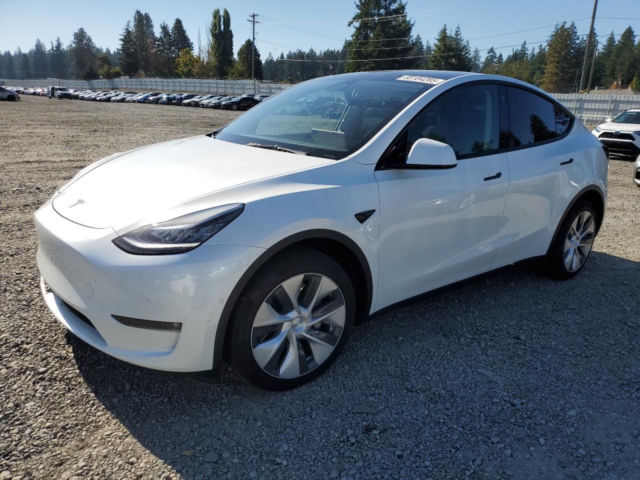 2021 TESLA MODEL Y
