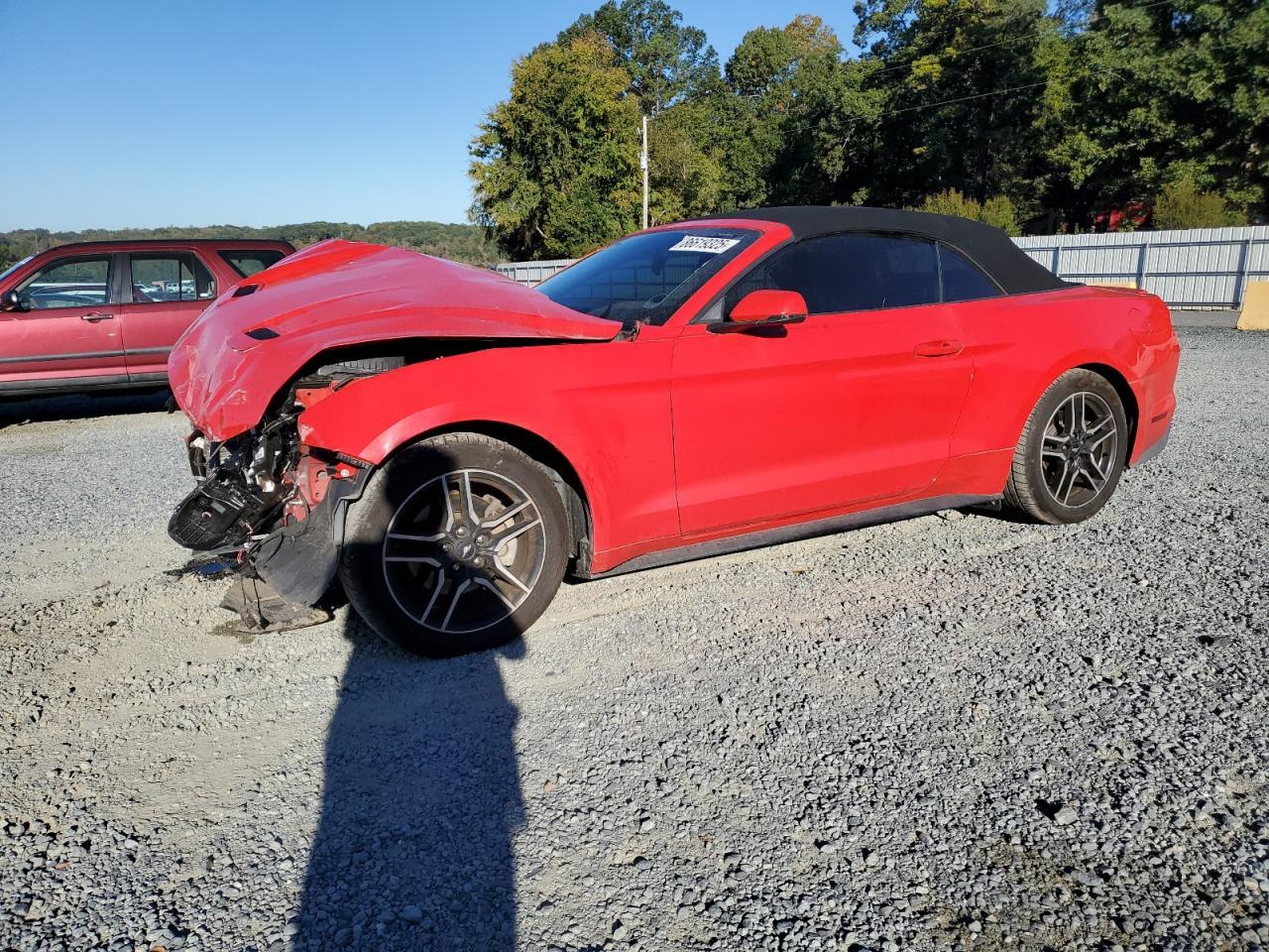 2019 FORD MUSTANG