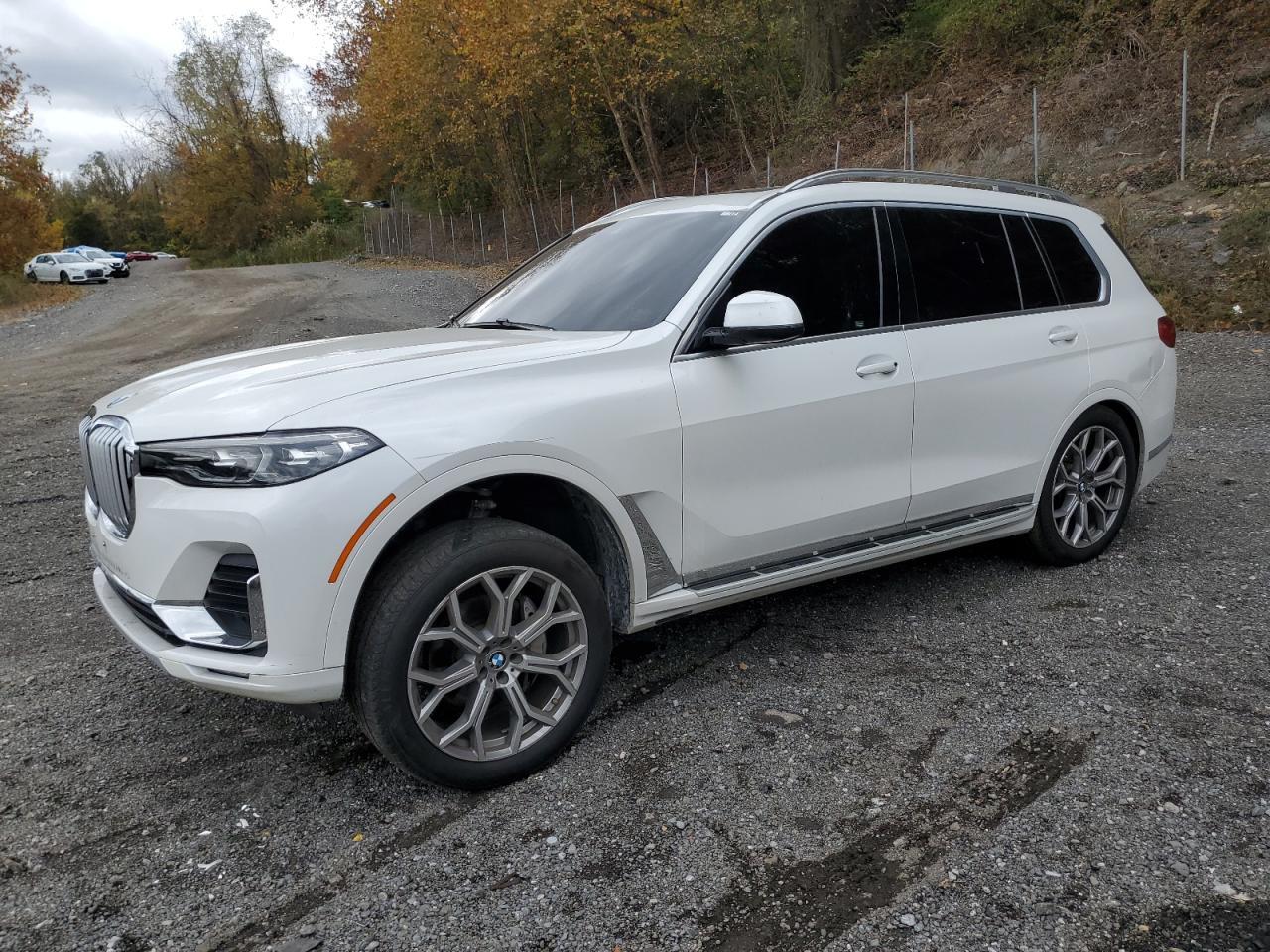 2019 BMW X7