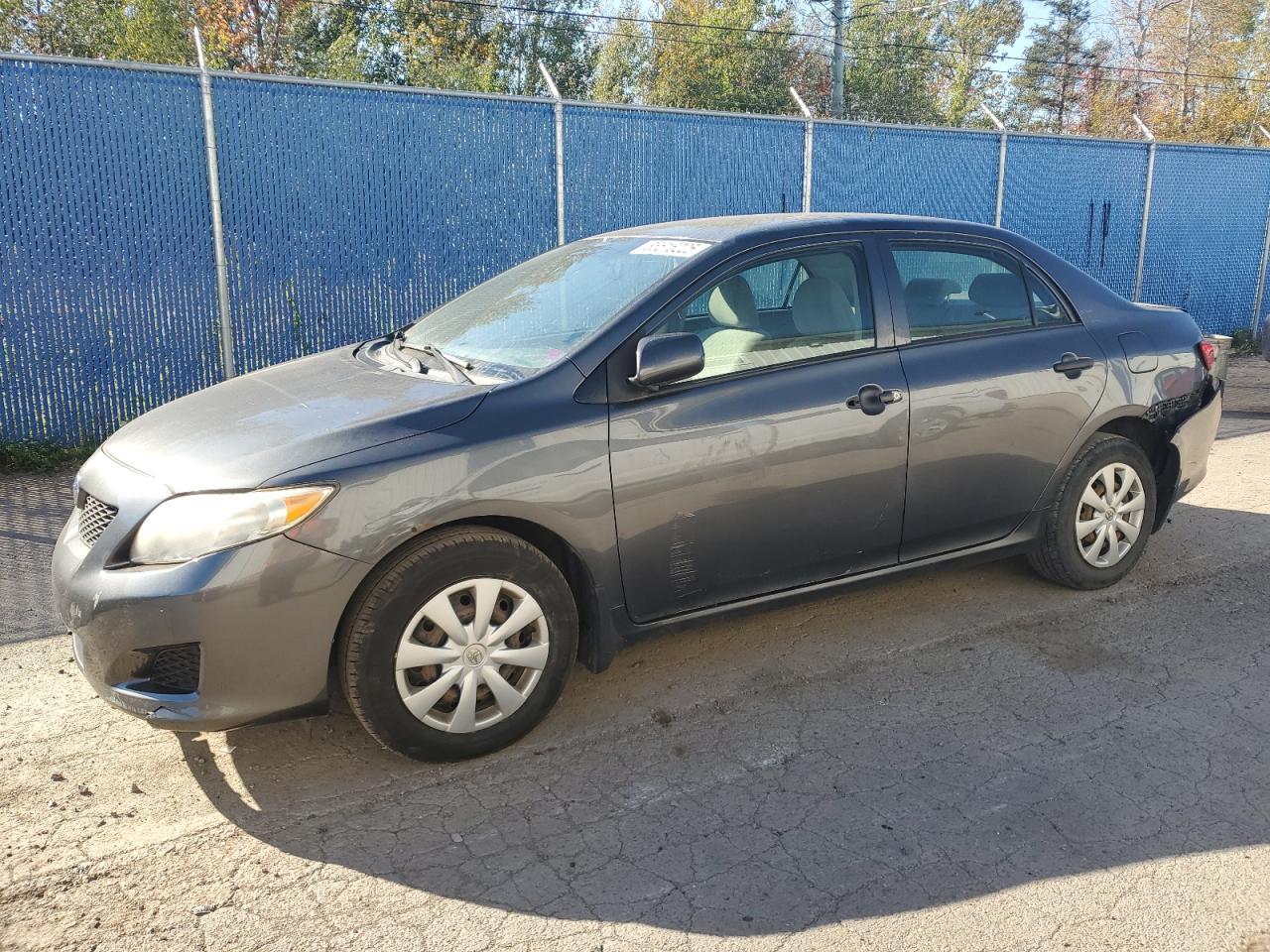 2010 TOYOTA COROLLA