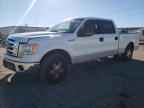 2009 FORD F-150
