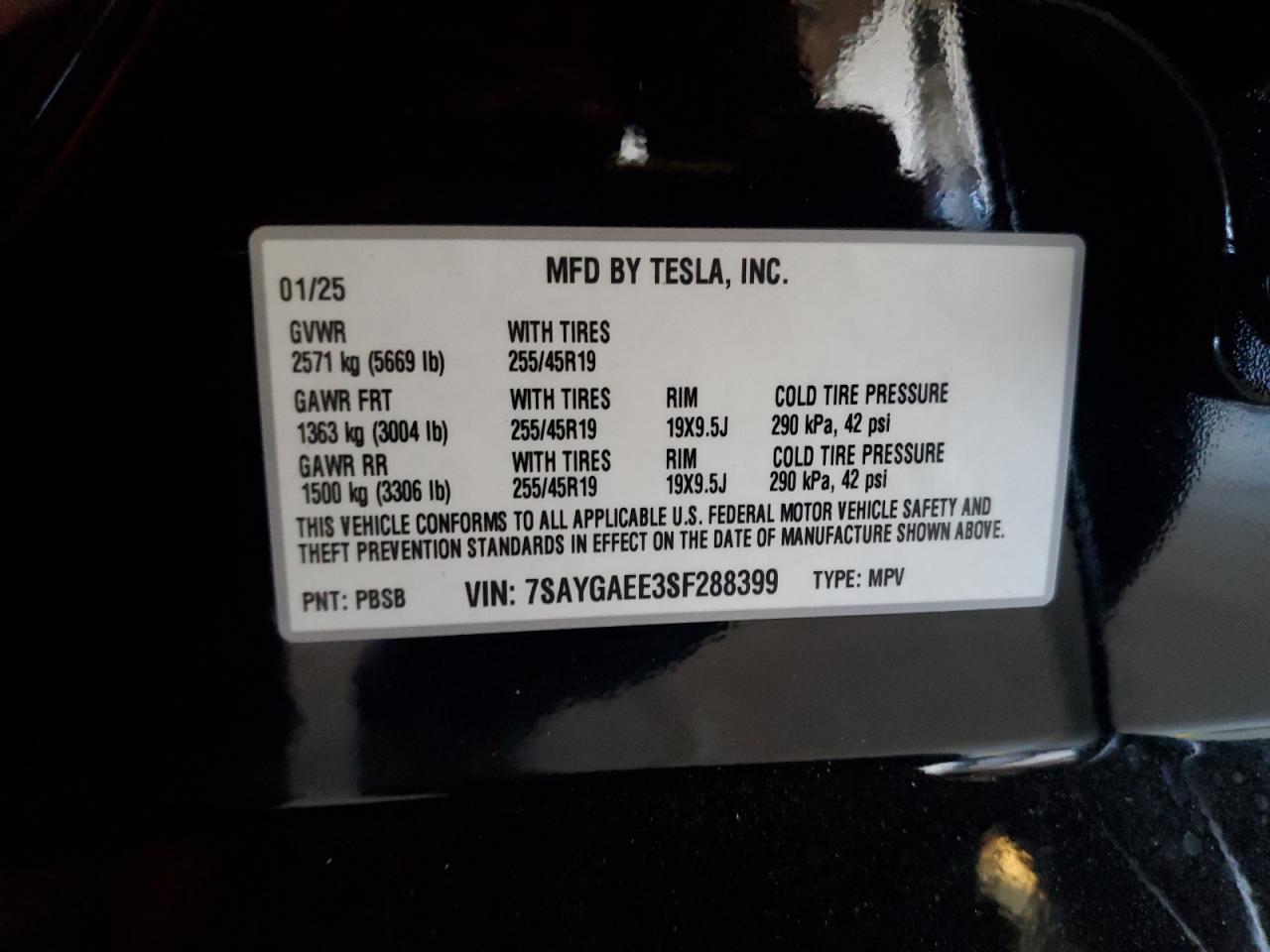 2025 TESLA MODEL Y