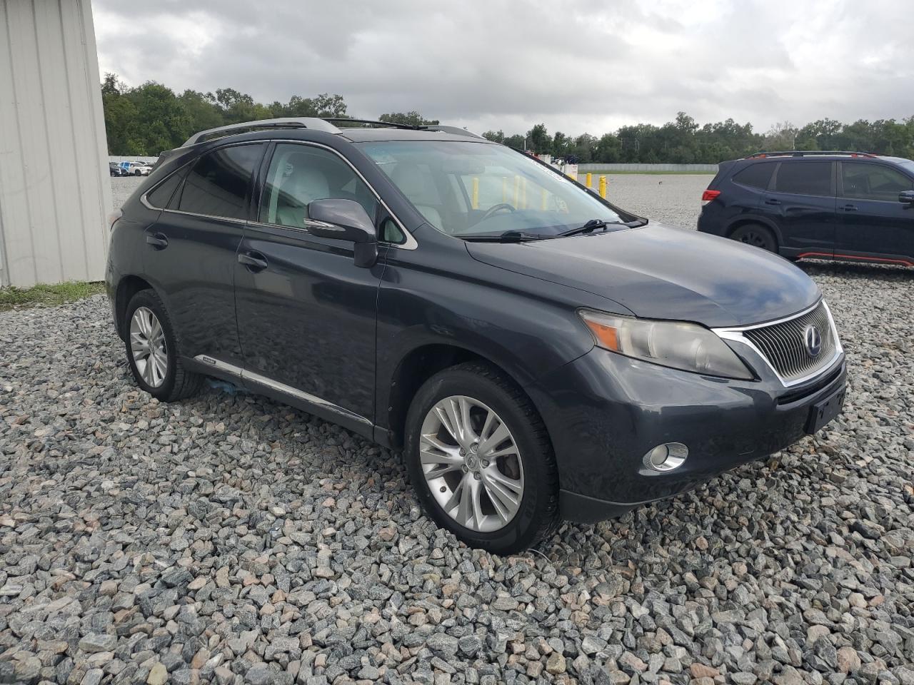 2010 LEXUS Rx