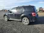 2009 FORD ESCAPE
