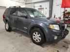 2008 MAZDA Tribute
