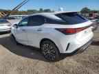 2025 LEXUS RX 350H
