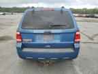 2010 FORD ESCAPE