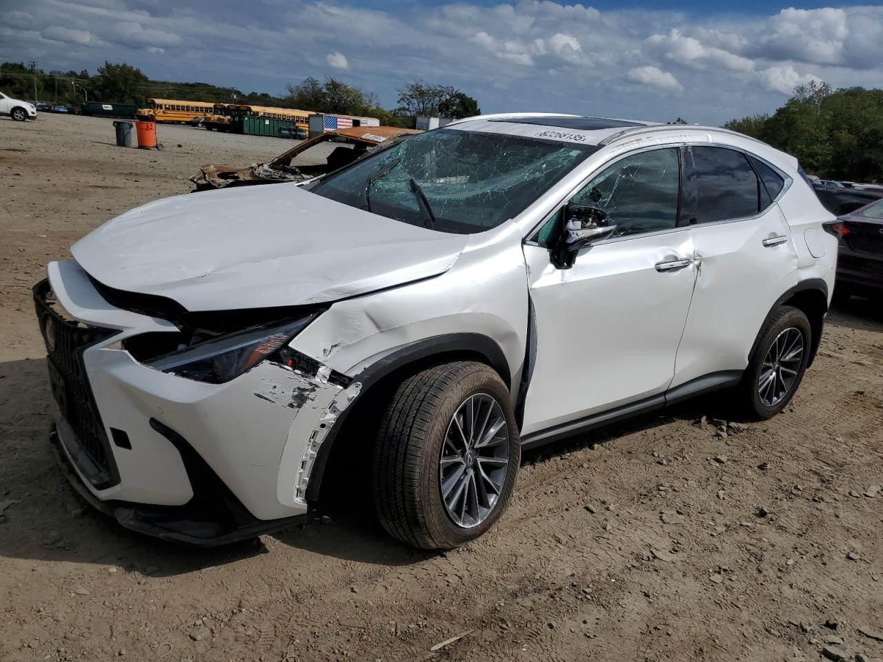 2024 LEXUS Nx