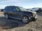 2009 FORD ESCAPE