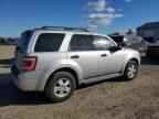 2010 FORD ESCAPE