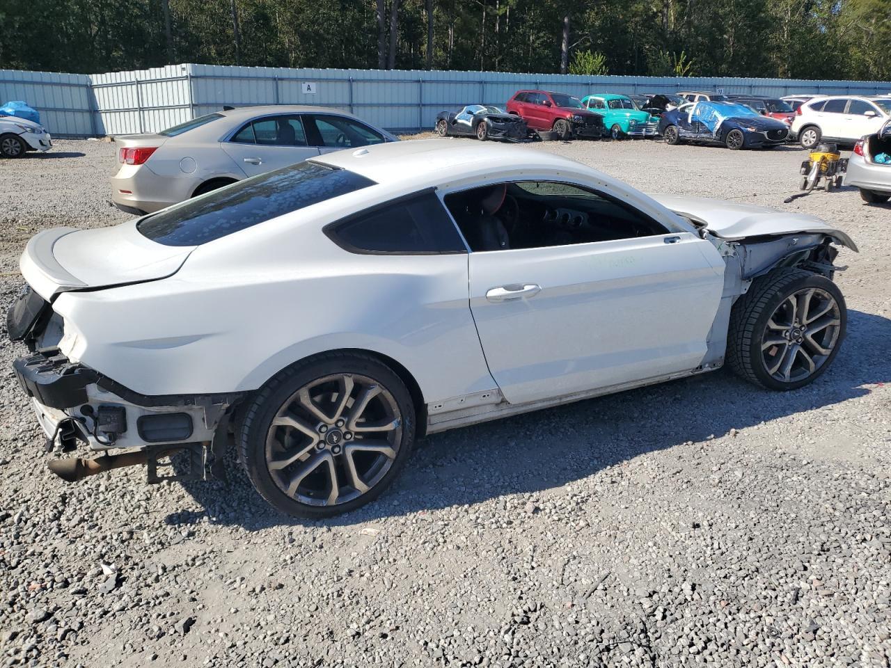 2019 FORD MUSTANG