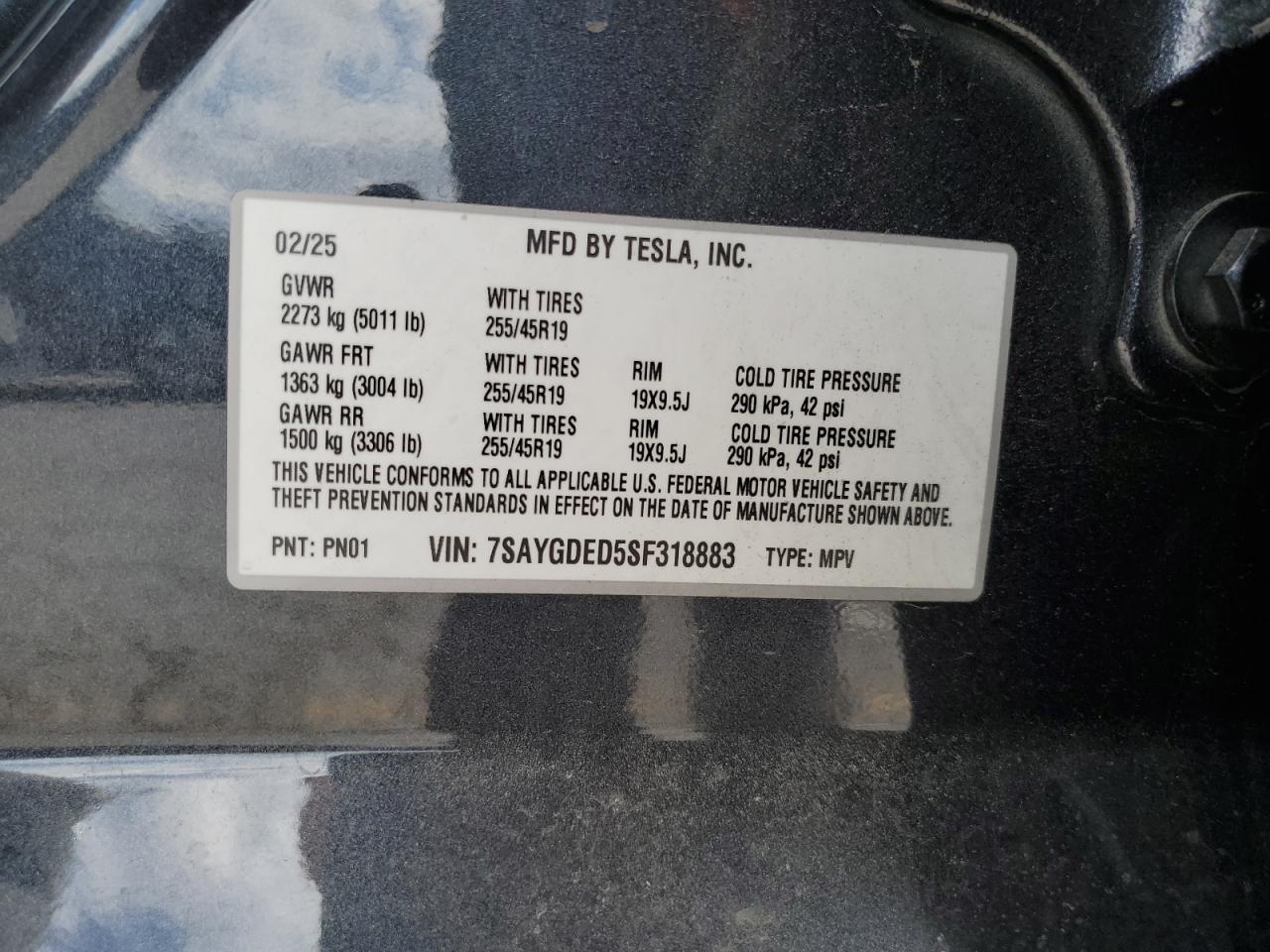 2025 TESLA MODEL Y