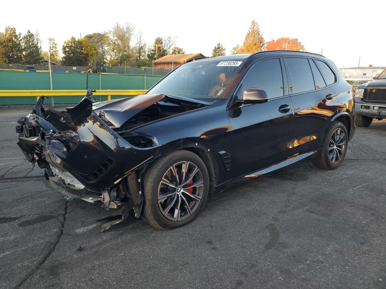 2024 BMW X5