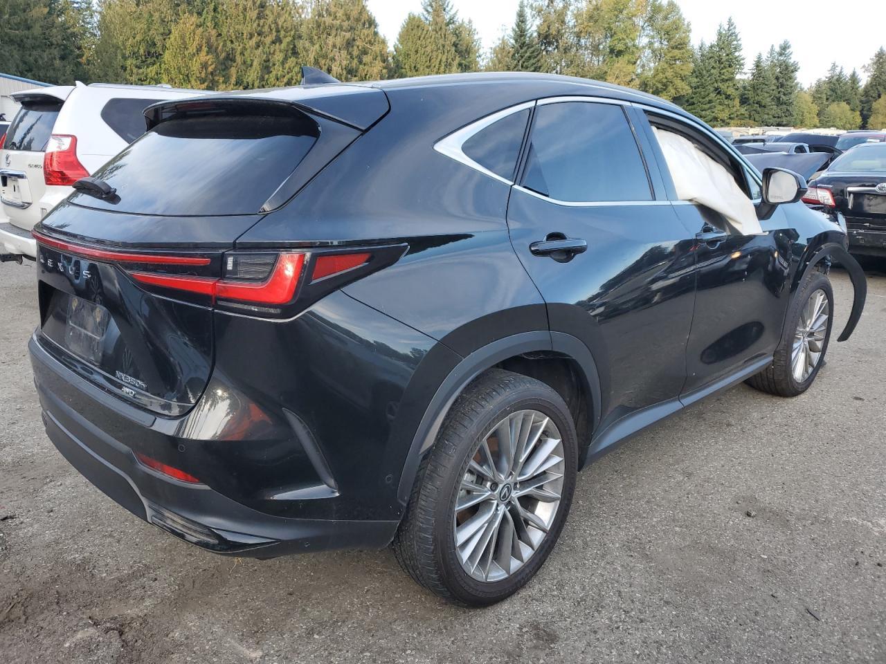 2024 LEXUS Nx