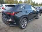 2024 LEXUS Nx