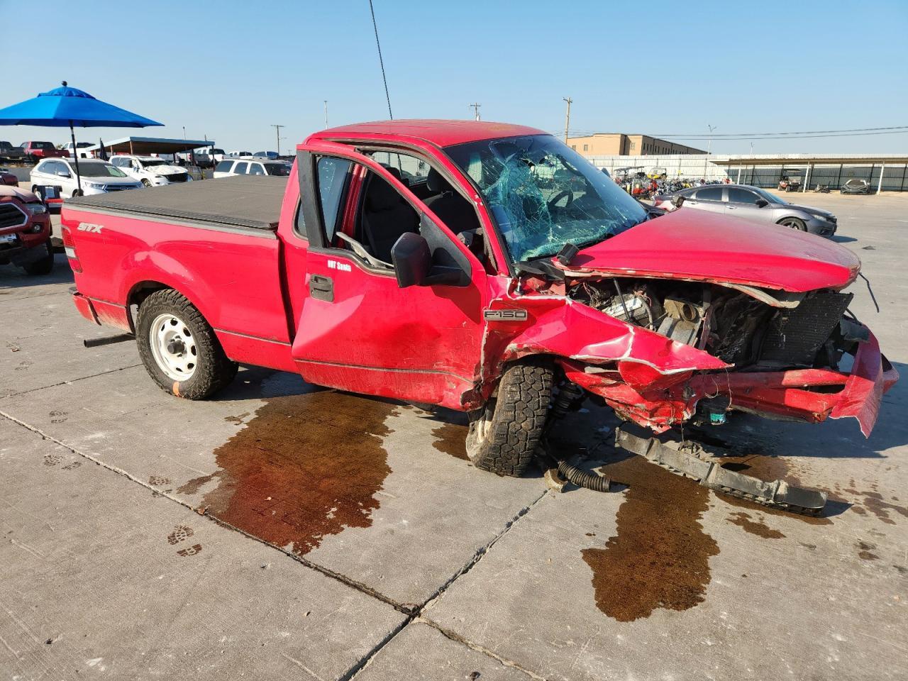 2007 FORD F-150