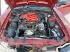2001 FORD MUSTANG