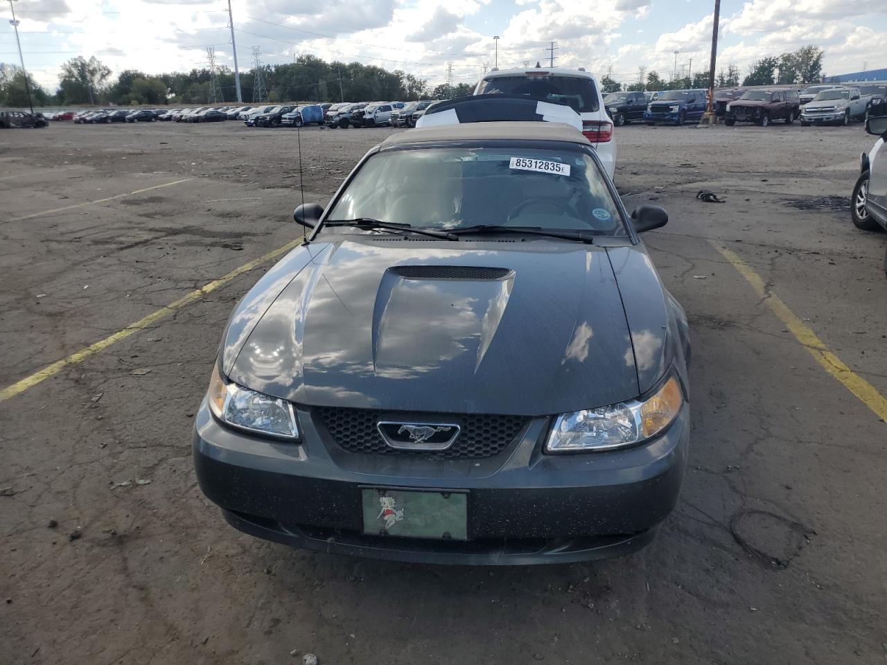 1999 FORD MUSTANG
