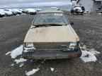 1983 Datsun Sentra