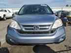 2010 HONDA CR-V