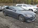 2023 LEXUS ES 250