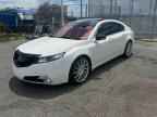 2010 ACURA TL