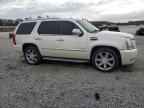 2010 CADILLAC ESCALADE