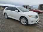 2010 TOYOTA VENZA