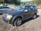 2009 FORD ESCAPE