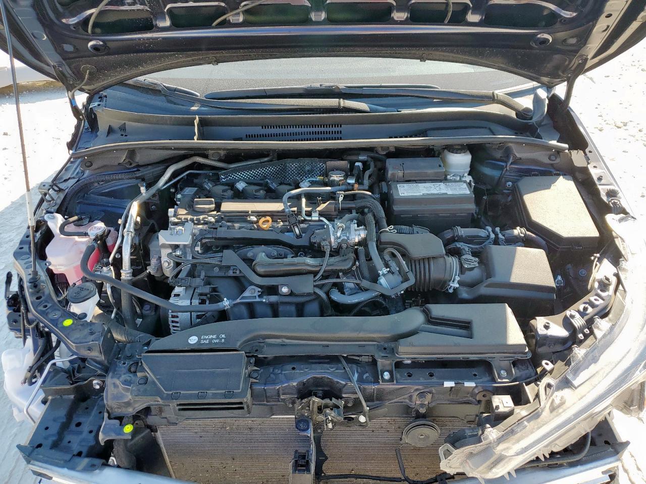 2025 TOYOTA COROLLA
