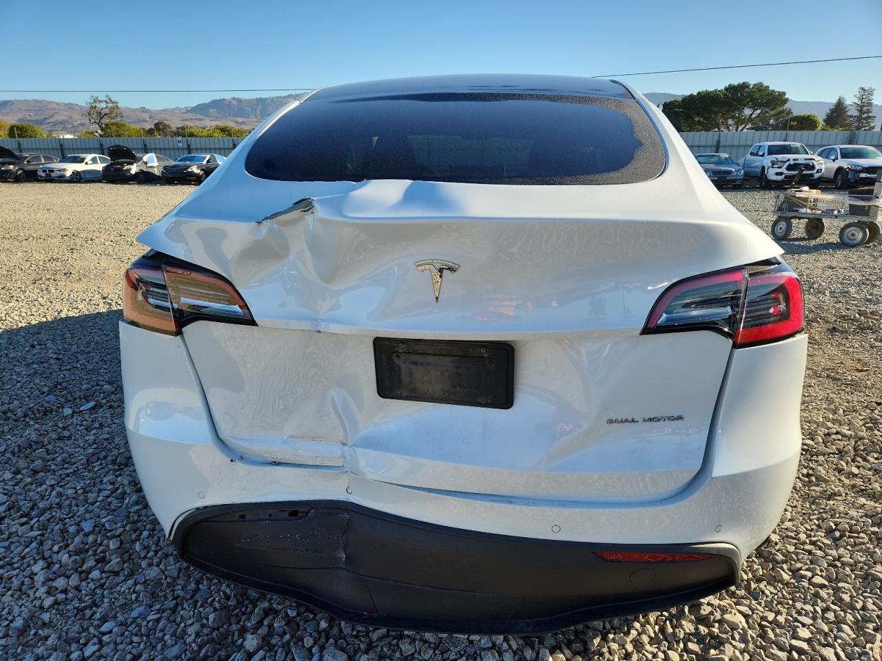 2021 TESLA MODEL Y