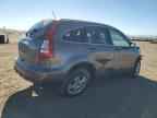 2010 HONDA CR-V